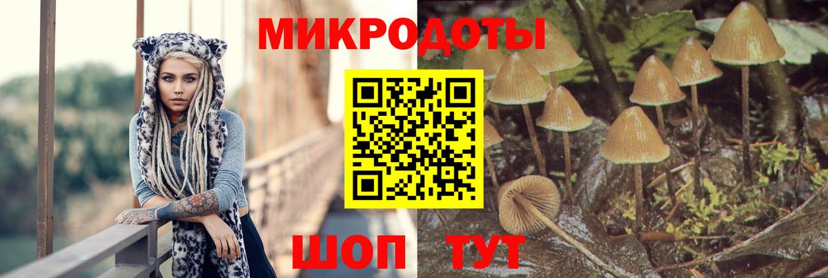 Галлюциногенные грибы прущие грибы Анапа