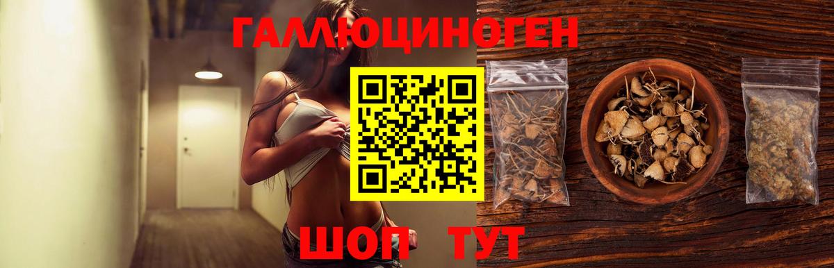 Анапа  Галлюциногенные грибы Psilocybine cubensis  Вход с VPN 